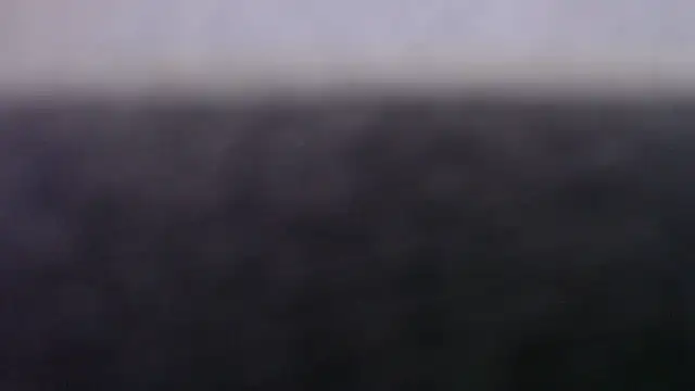 jellesexx Webcamshow