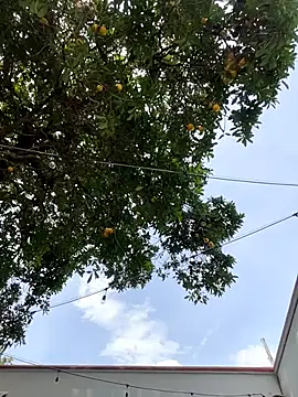 دردشة Namii_cute الجنسية المباشرة