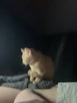 Chatroom XXX en direct de Naughtbaby_2025