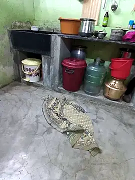 دردشة Tamilselviroja- الجنسية المباشرة