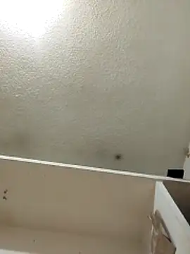 bigtitssxx Live XXX-Chat