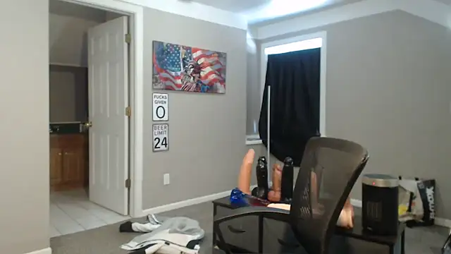 Show webcam de Michigan9000