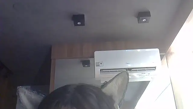 SkinnyKitten Chat XXX live