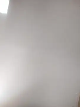 Show Webcam de Biknight