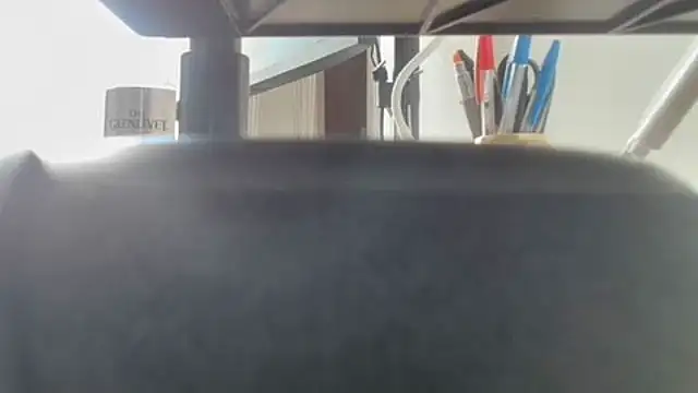 twdspunpigのウェブカメラショー