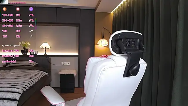 Show Webcam de AYW-21