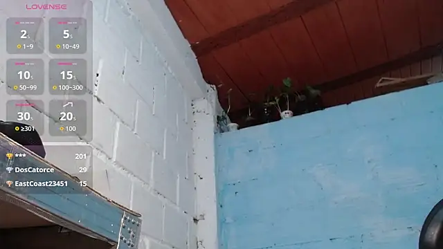 jasminne_ élő XXX-chatje