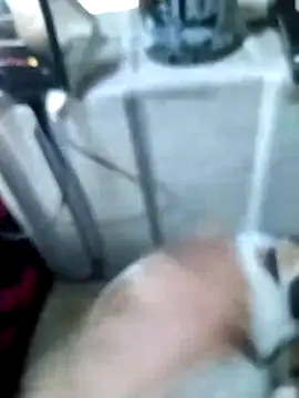 Genesis3011n Live XXX chat