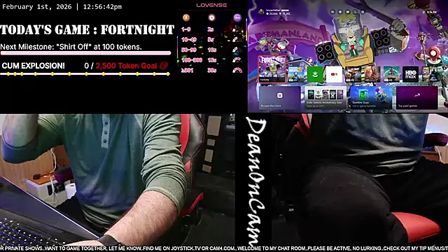 Pokazy przed kamerką – DeanonCam