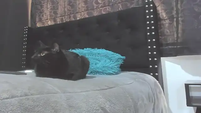 Živý XXX chat amareto_queen