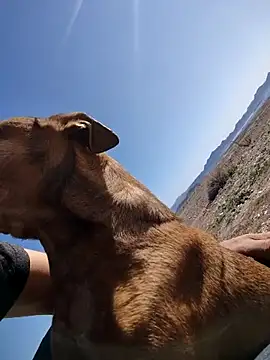 Chat XXX en directo de FloppyPickle4u