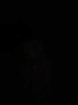 Alppo's Live XXX Chat