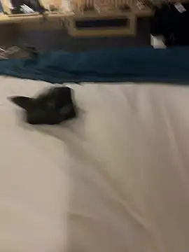 Chat XXX en directo de Misstakenhot