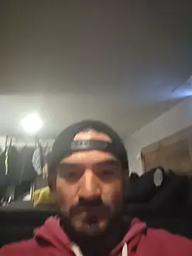 piggylatino Live XXX Chat