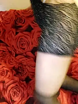 Chat XXX ao vivo de snwflk