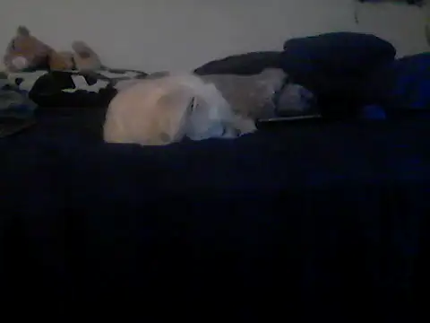 Silencio26 Chat XXX live