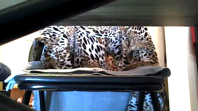 Czat XXX na żywo – petite-Alondra