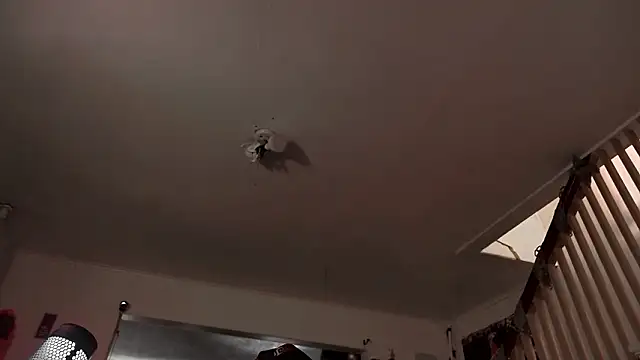 Chat XXX en directo de MasterDaddyCool