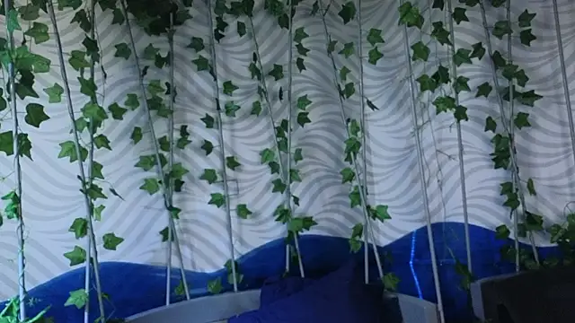 TheKing_39_'s Webcam Show