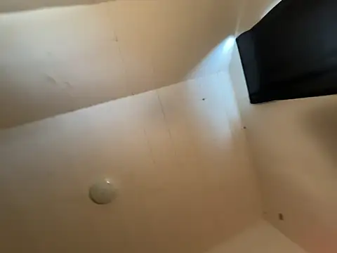 venusfairys: вебкам-шоу