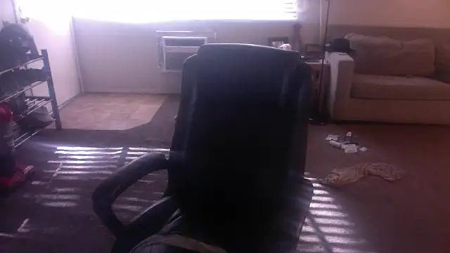 palidin1 élő XXX-chatje