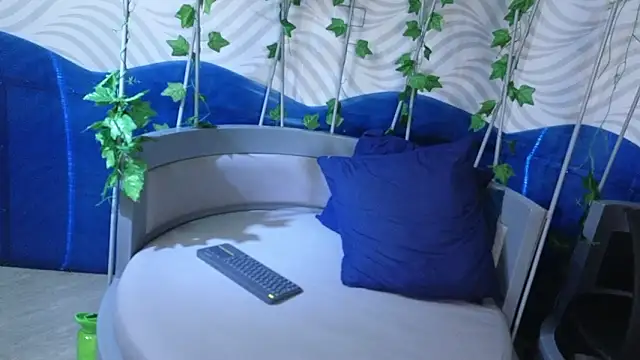 TheKing_39_'s Webcam Show