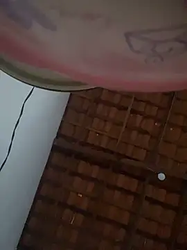 Show webcam de Milenvs