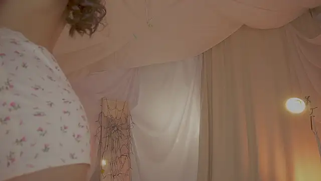 عرض كام arizonasunrise