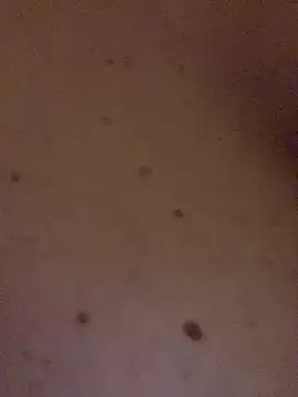 SexyTs888 Webcam Show