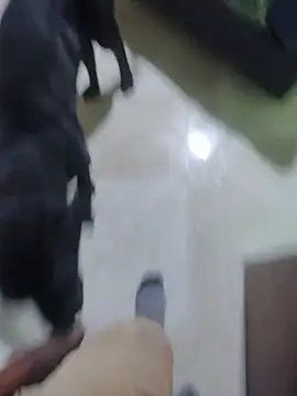 SHARLOT2427's Live XXX Chat