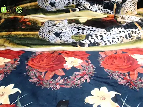 Chat +18 de Queen_Sarah ao vivo