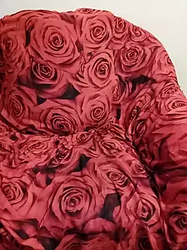 snwflk – webcam-show