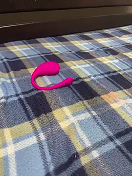 Noamilk 网络视讯表演