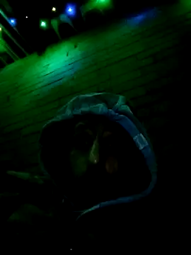 FunCrazy0n Webbikameraesitys