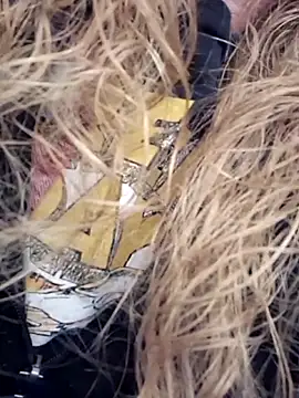 Chat +18 de Lil_Layla_Jane ao vivo