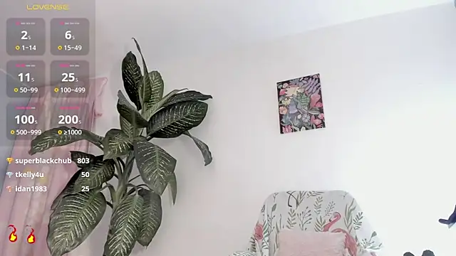 Chat +18 de michaell_james7 ao vivo