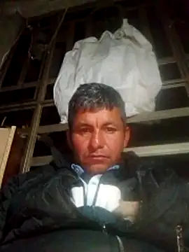 Show de TattyFoxglove na webcam