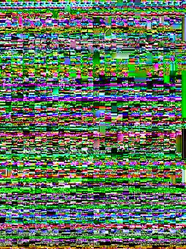 Pokazy przed kamerką – teddy04