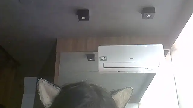 SkinnyKitten 라이브 XXX 채팅