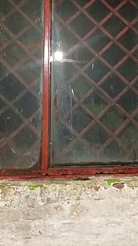 ChanneldelaCroix's Live XXX Chat