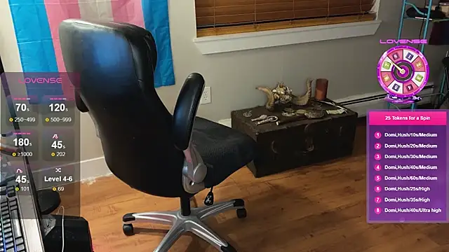 Show webcam de luluvaladon