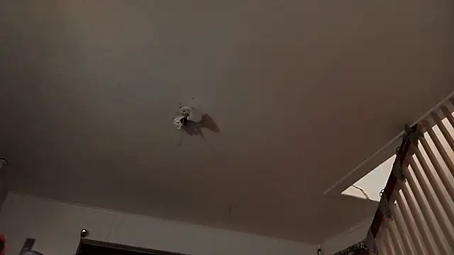 Chat XXX en directo de MasterDaddyCool