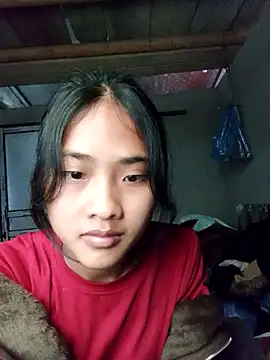 Hoa-tuylip 网络视讯表演