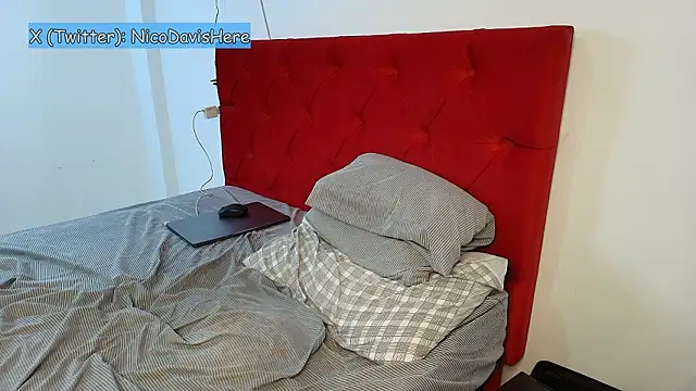 NicoDavisOfficial 웹캠 쇼