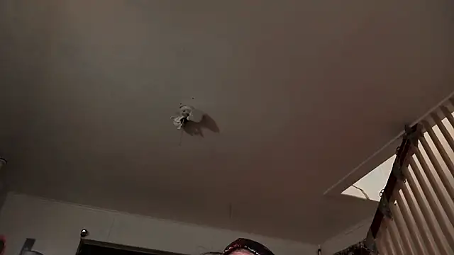 Chat XXX en directo de MasterDaddyCool