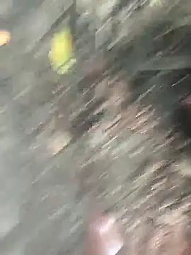 kalai_32のウェブカメラショー