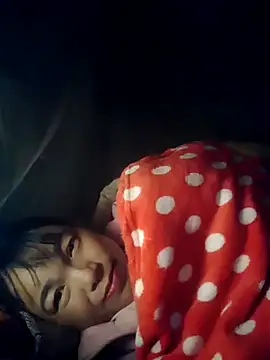 cheat-chat 现场XXX聊天