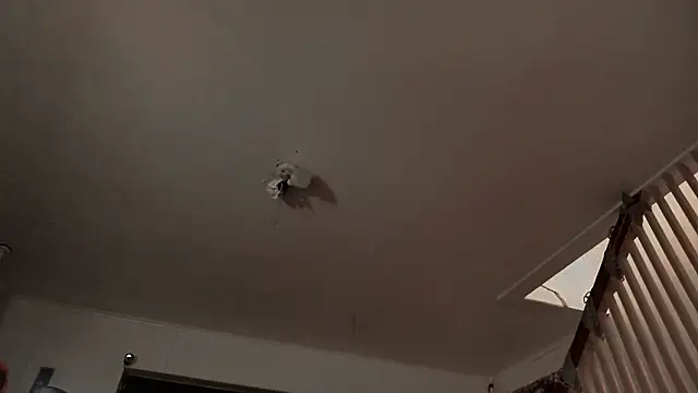 Chat XXX en directo de MasterDaddyCool