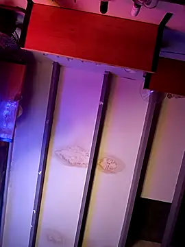 Онлайн чат XXX Casa_Gatica2