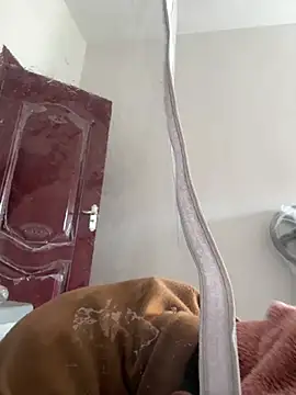 daaqnn – webcam-show